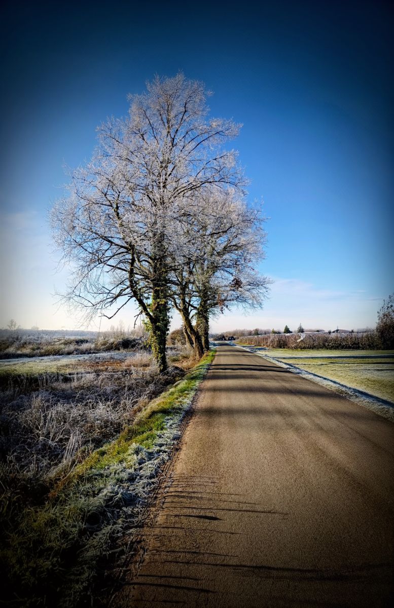 Weather forecasts with beautiful photos by Patrick-M