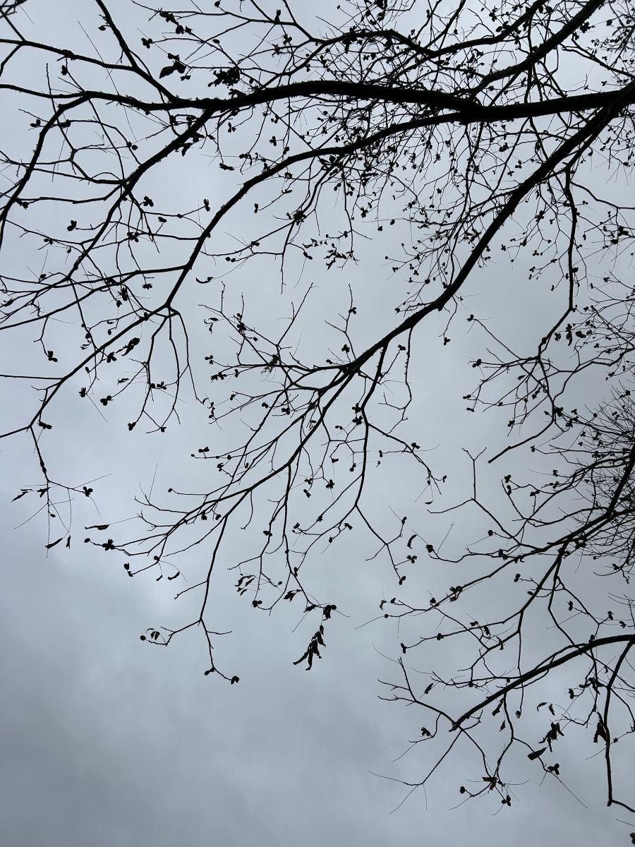 密西西比州的天气照片. 天气预报，带AndyT精美的照片