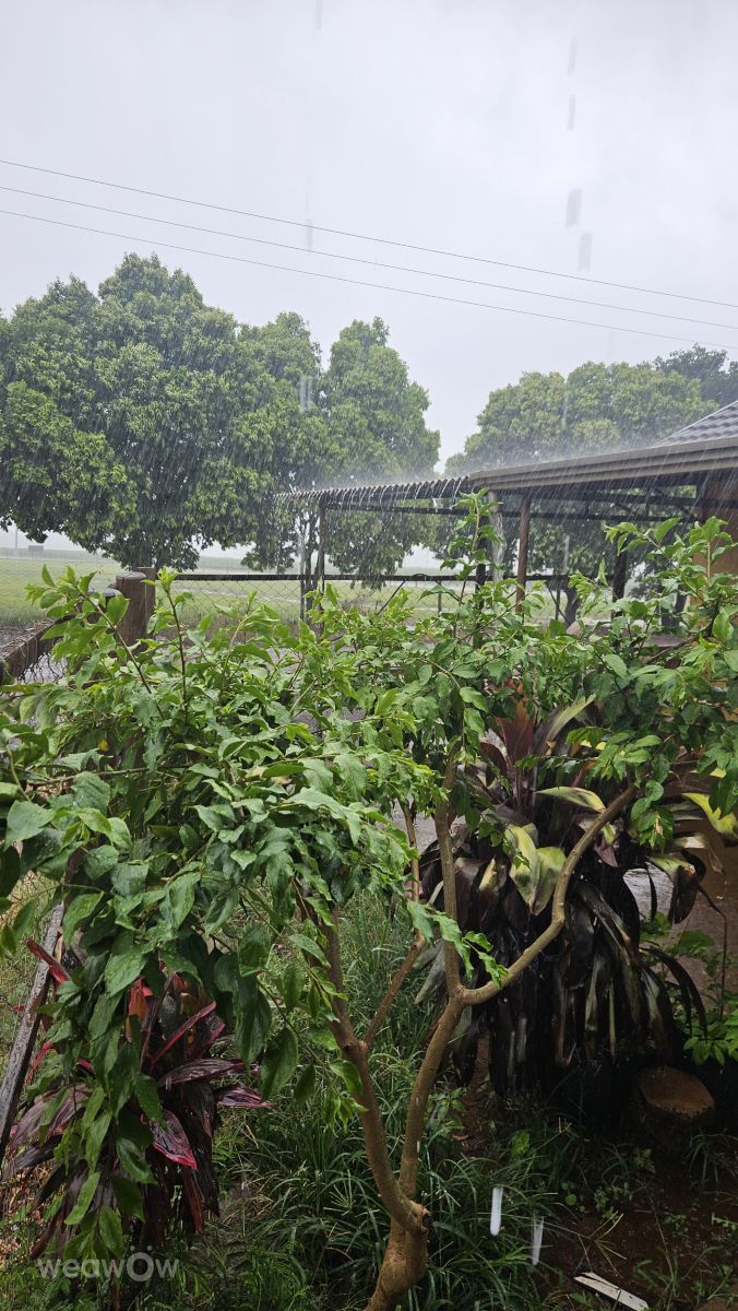Hình ảnh Thời tiết ở Sao Paulo. Dự báo thời tiết với những bức ảnh đẹp của Fernando Rodrigues Dos Santos