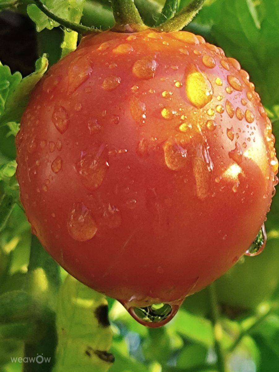 Weather Photos in Allersberg. Weather forecasts with beautiful photos by Brtd