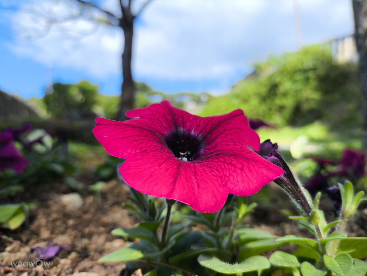 Fotografos Takimi-sky, Fotos do tempo em Urasoe - Weawow