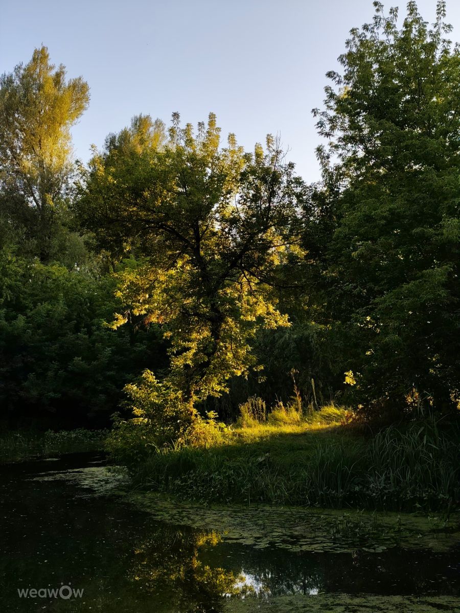 Weather Photos in Kyiv. Weather forecasts with beautiful photos by DarthVaider88