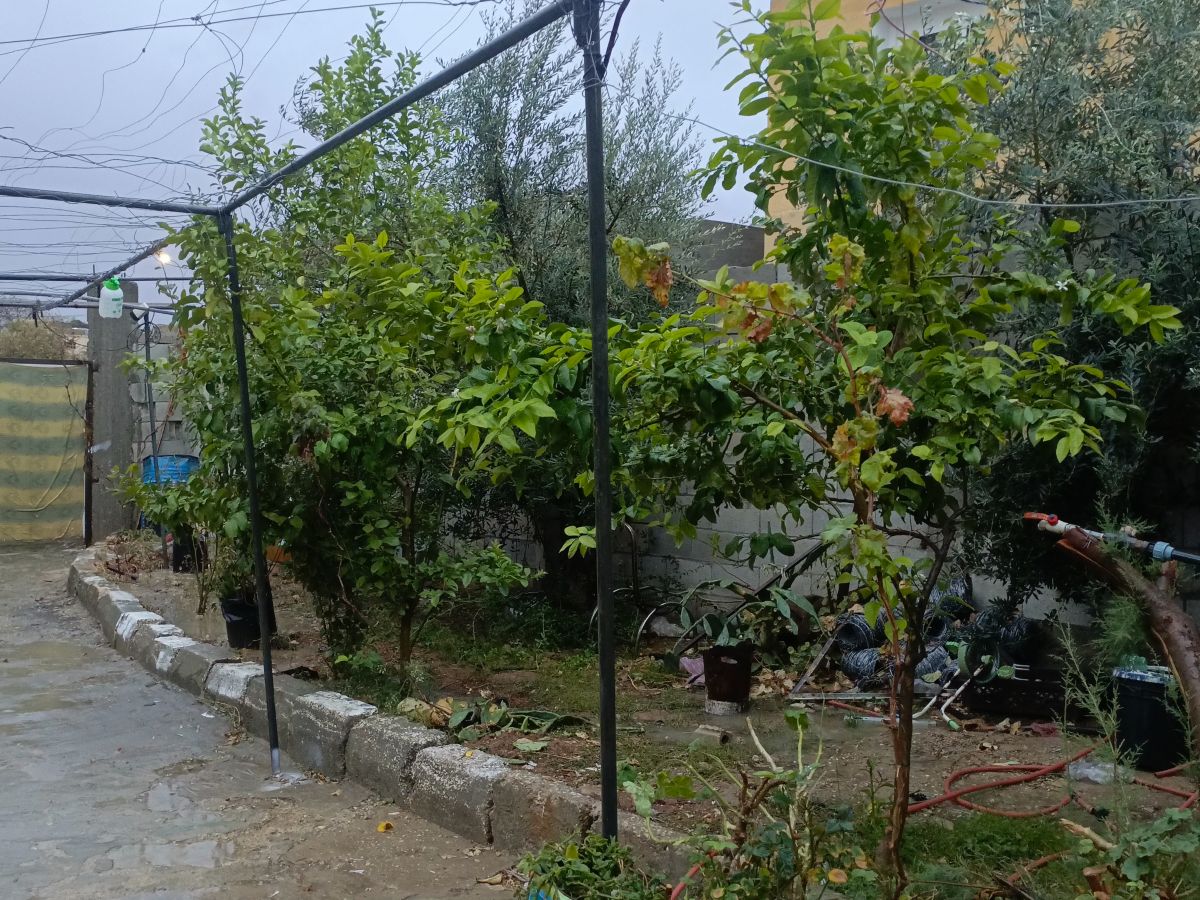 Weather Photos in Jordan. Weather forecasts with beautiful photos by essa1234