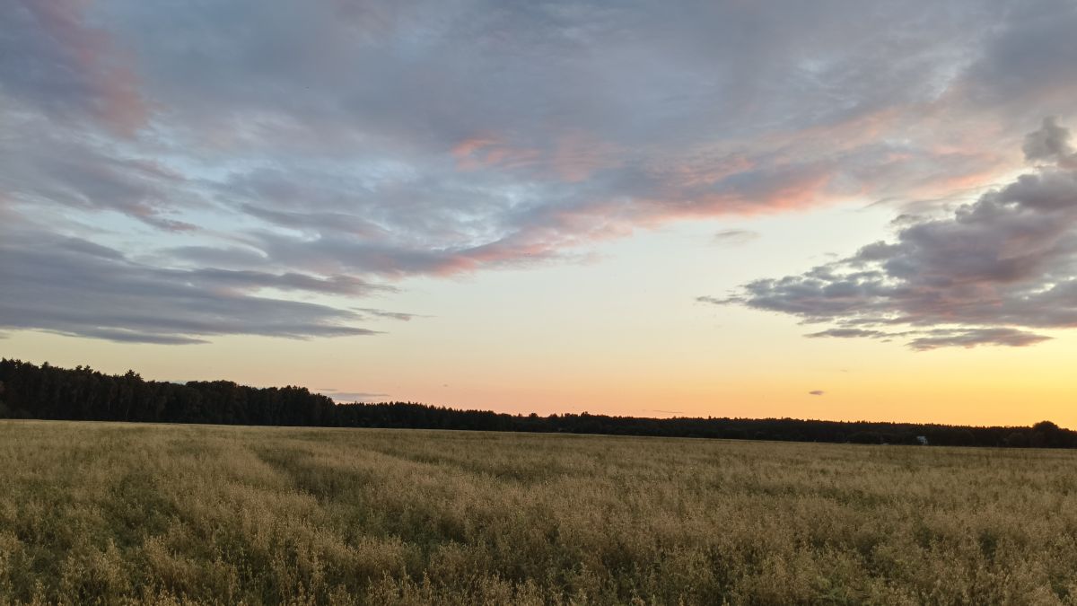 Hình ảnh Thời tiết ở Kaluga Oblast. Dự báo thời tiết với những bức ảnh đẹp của Aleksei