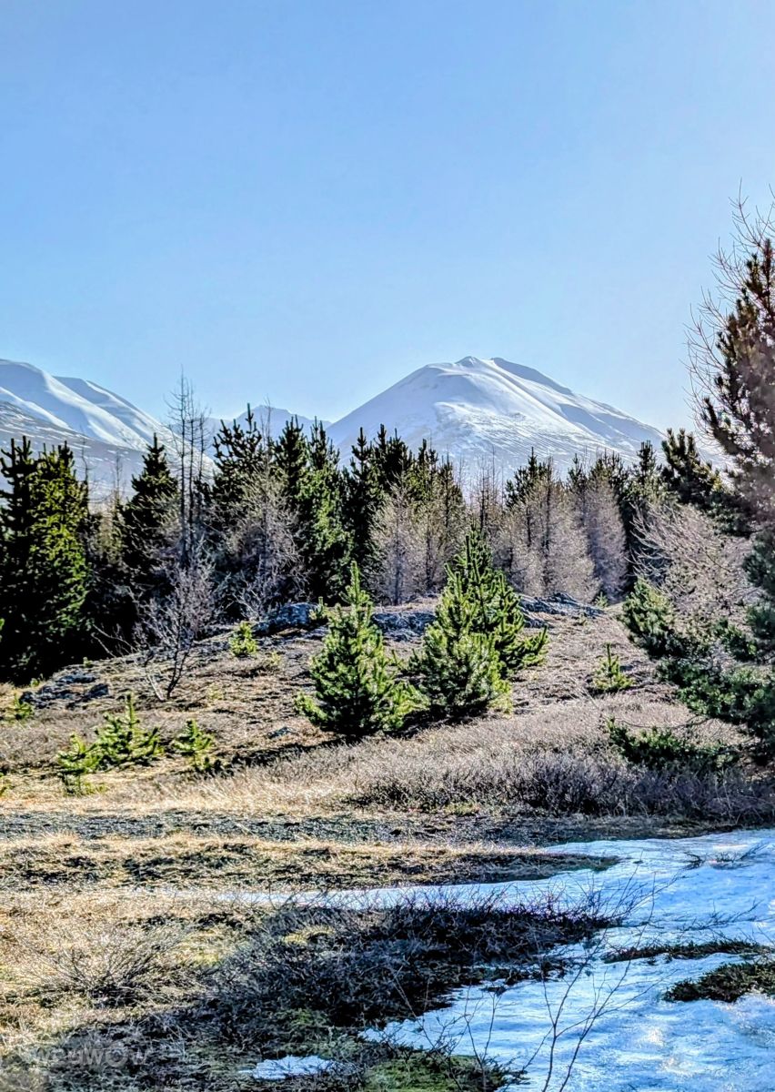 Weather forecasts with beautiful photos by rgo