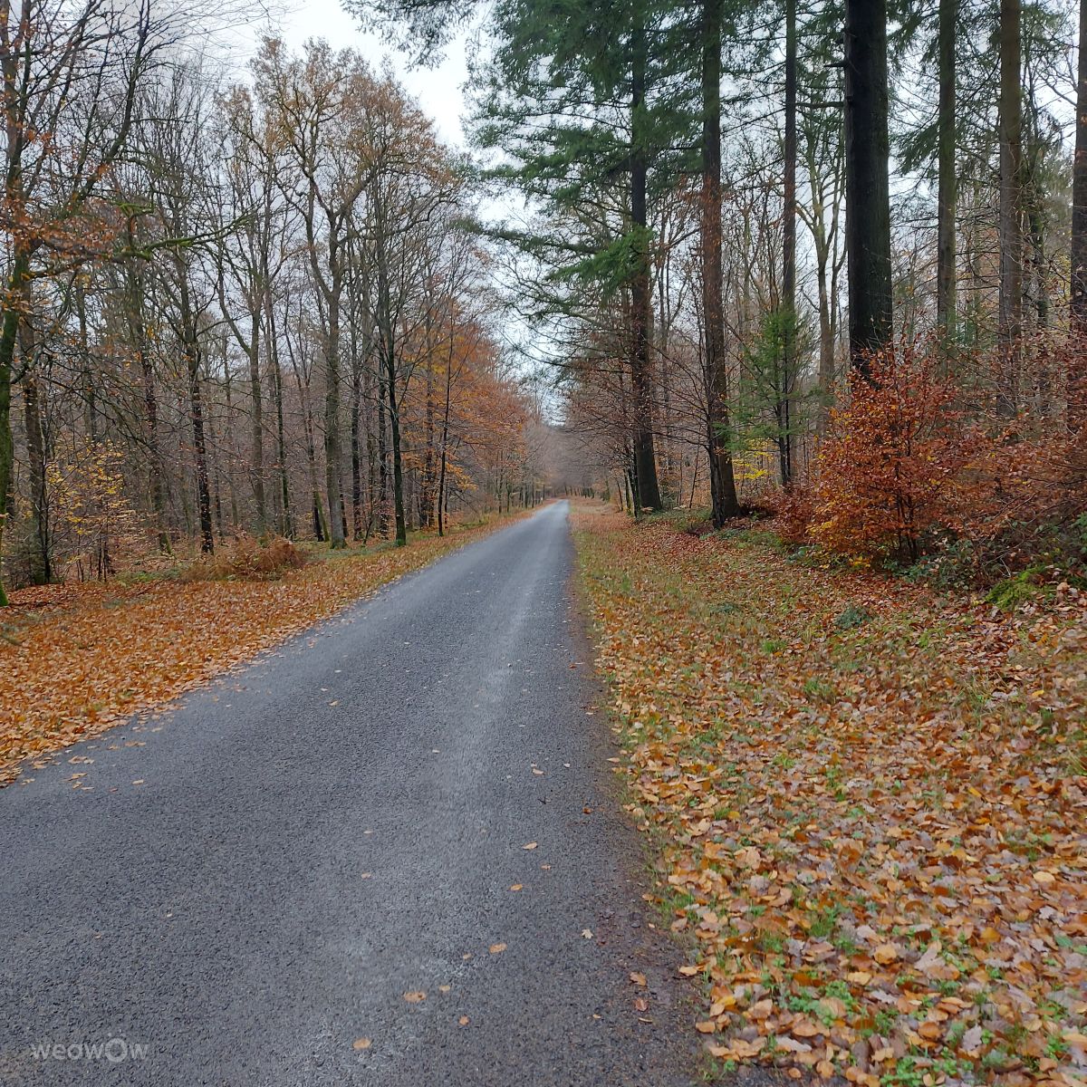 Weather Photos in بلجيكا. Weather forecasts with beautiful photos by Monique Istace