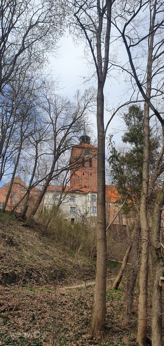 Фотографии Погоды в Решель. Прогнозы погоды с чудесными фотографиями, сделанными hefajstos