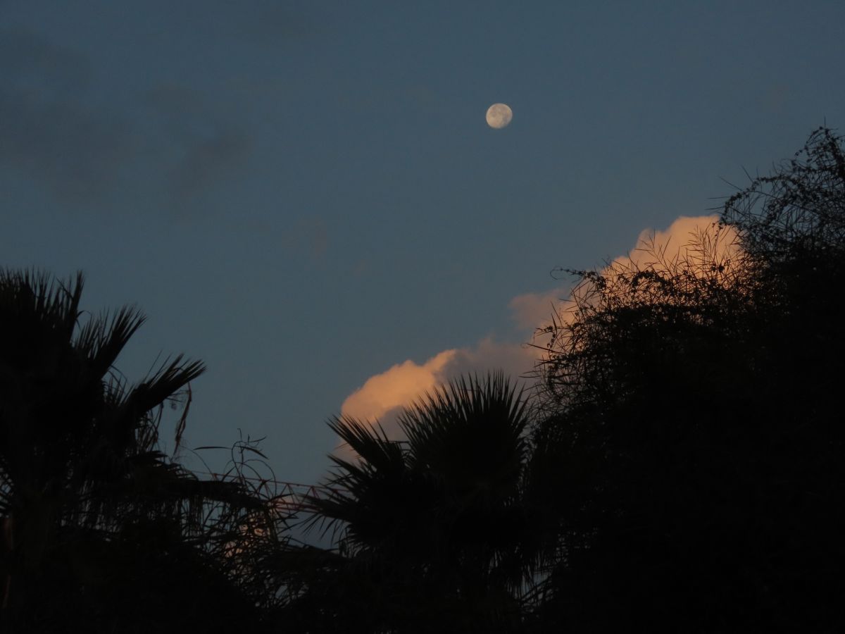 Hình ảnh Thời tiết ở Northern District. Dự báo thời tiết với những bức ảnh đẹp của Sviatoslav