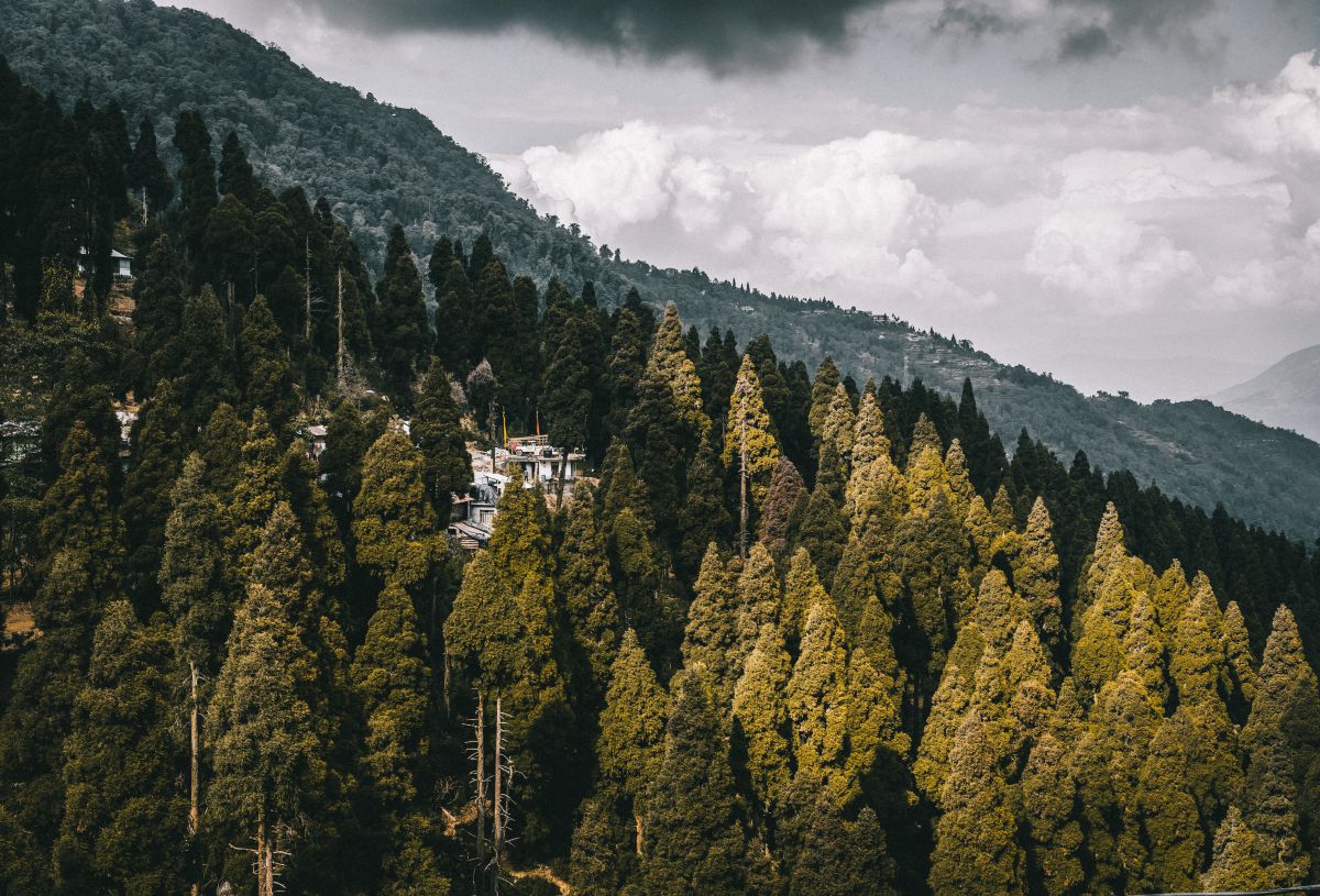 Фотографии Погоды в Западная Бенгалия. Прогнозы погоды с чудесными фотографиями, сделанными Katecetera