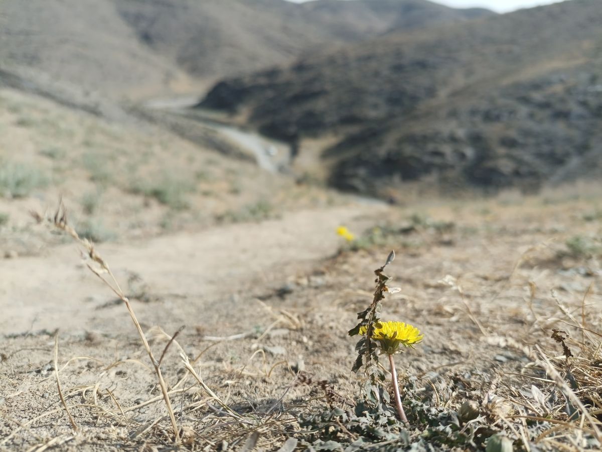 Weather Photos in Uzbekistan. Weather forecasts with beautiful photos by Anilan