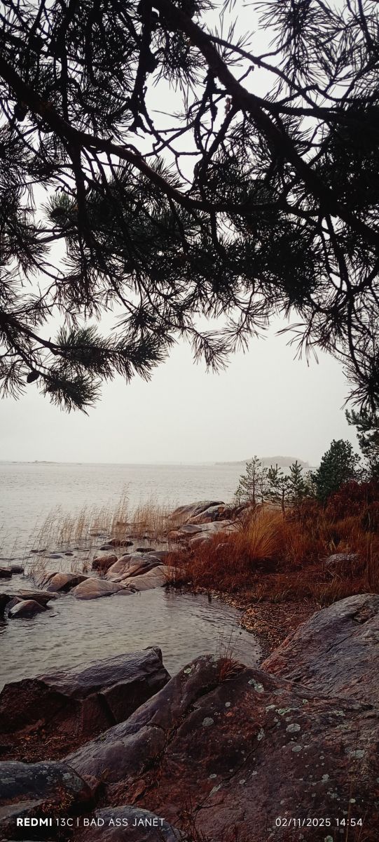 天气预报，带19Jeanette71精美的照片