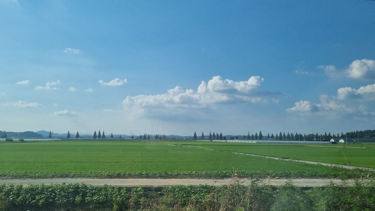 Weather forecasts with beautiful photos by sue_ryu