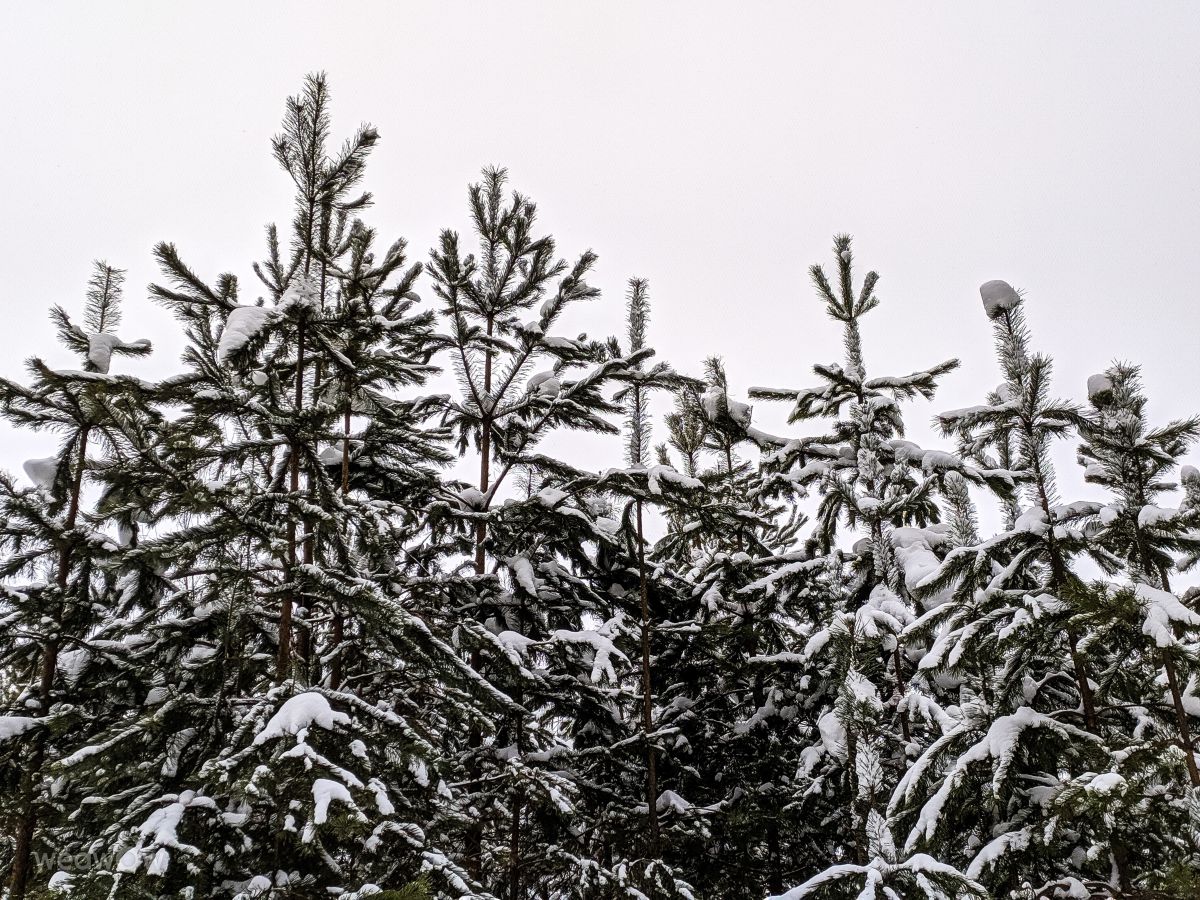 摄影师 aastrelkova，Sarapul Railway Station的天气照片 - Weawow