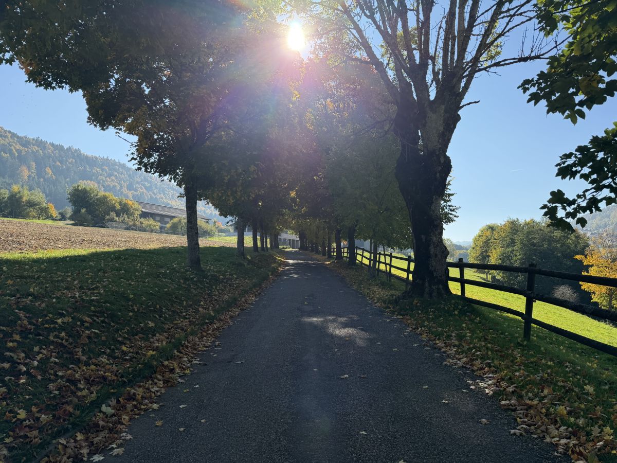Photos météo à Renan. Prévisions météo avec de superbes photos de SwissEloi