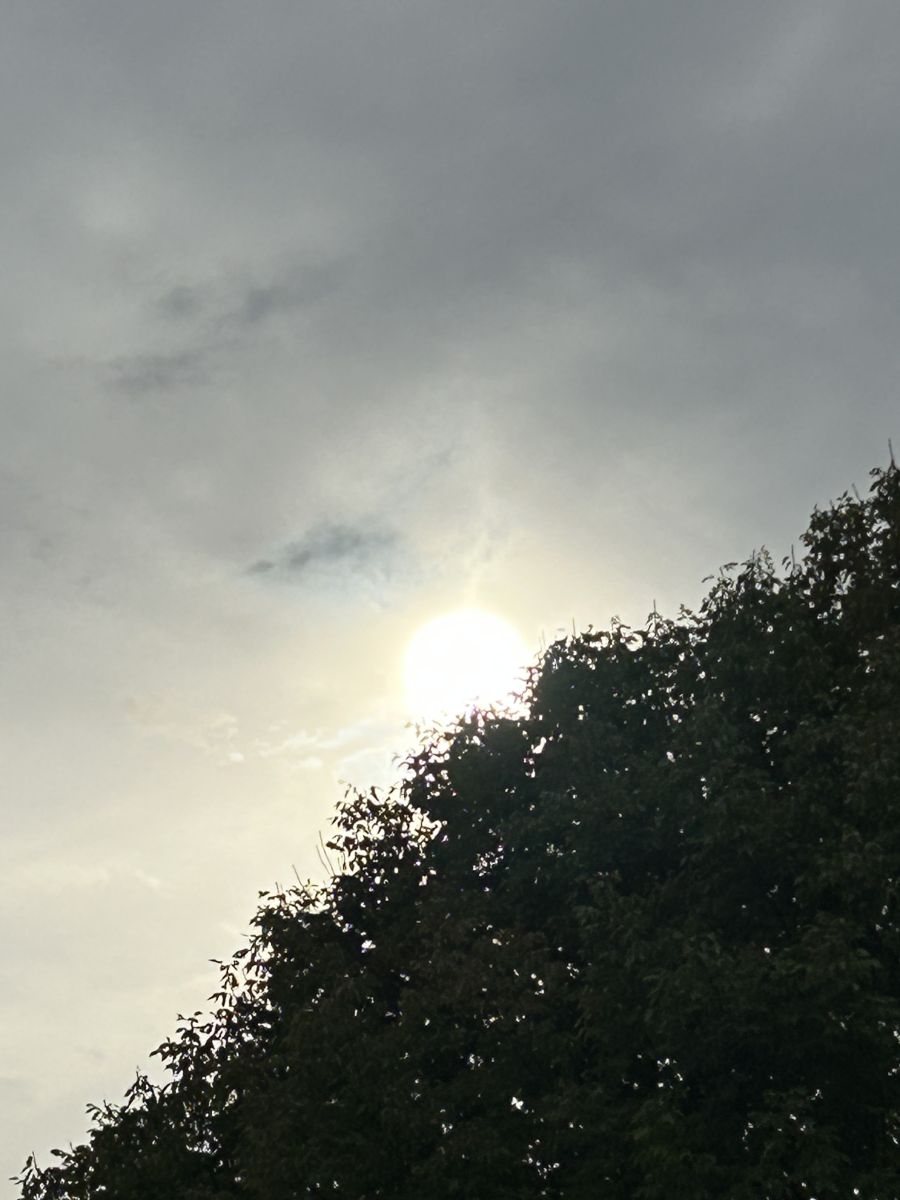 密西西比州的天气照片. 天气预报，带AndyT精美的照片