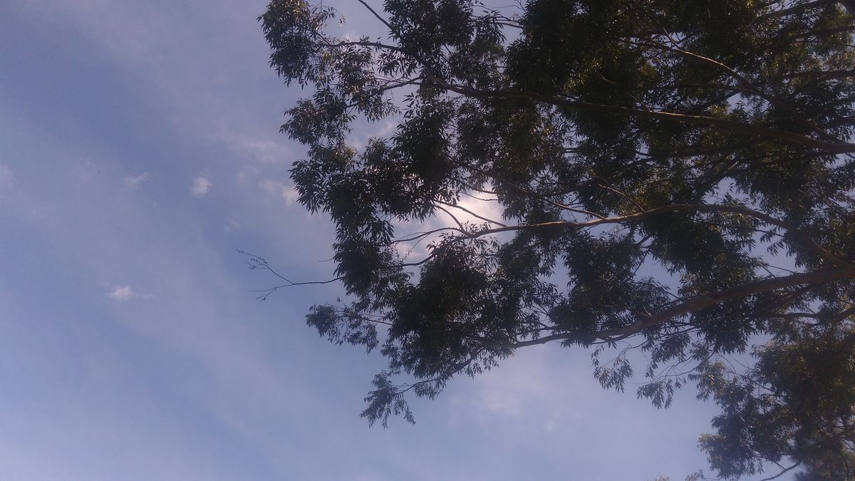 Wetter Photos São Carlos. Wettervorhersagen mit schönen Fotos von CacoFaria