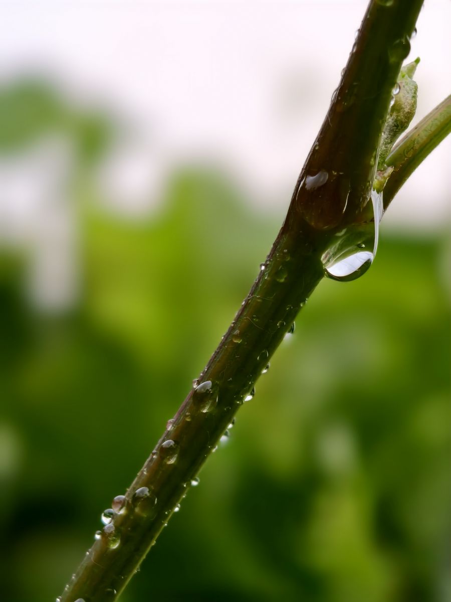 Weather Photos in Subcarpathia. Weather forecasts with beautiful photos by Lonek