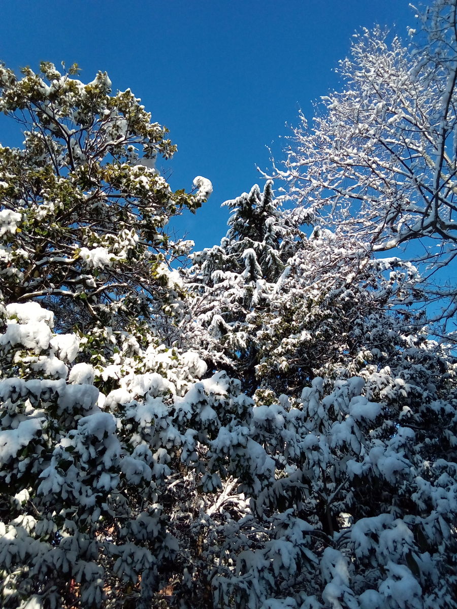 Fotógrafo MariaB, Fotos sobre el clima en Sochi - Weawow