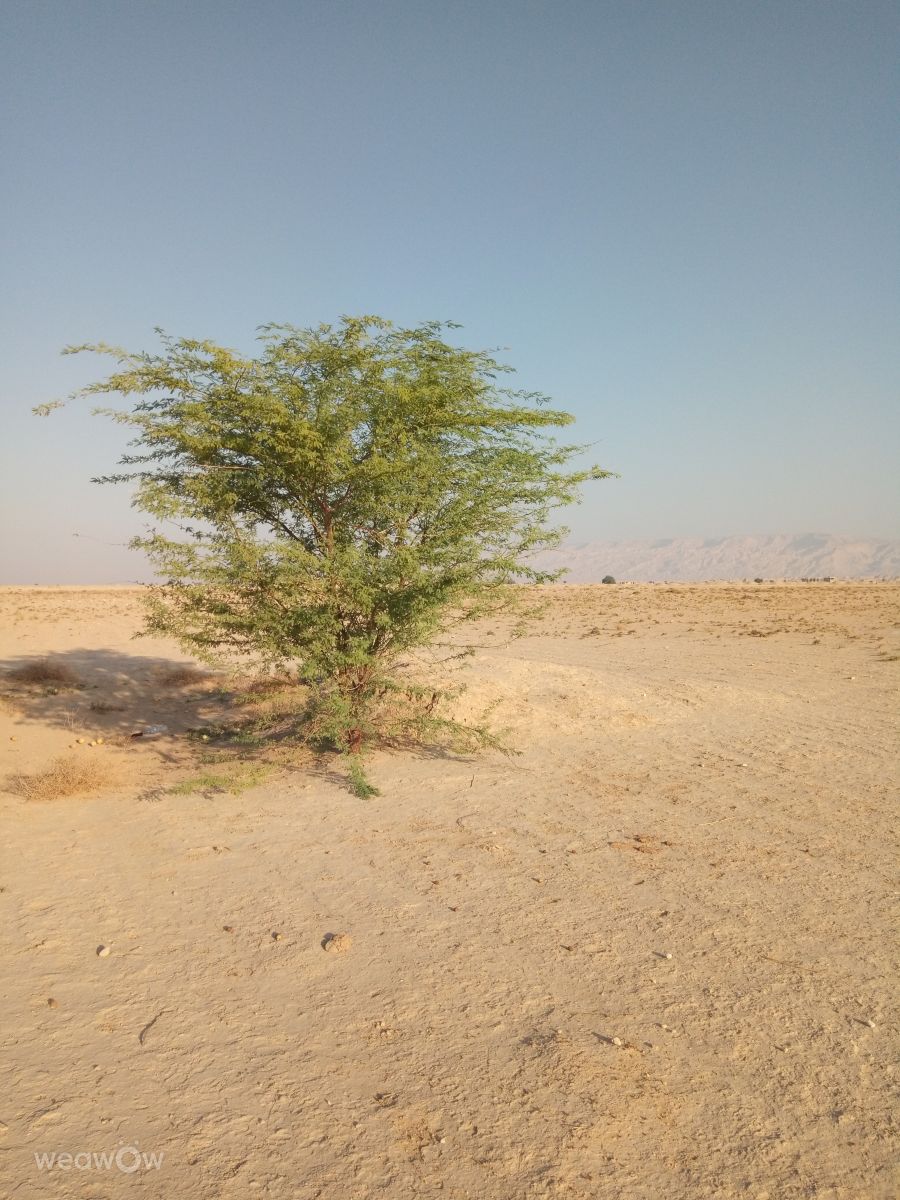 Dự báo thời tiết với những bức ảnh đẹp của fromIran