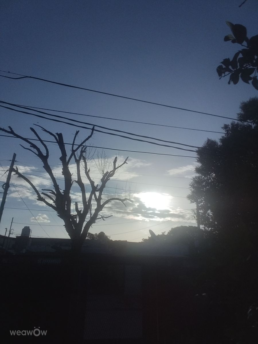 Weather Photos in Grand Bourg. Weather forecasts with beautiful photos by GabyOdre