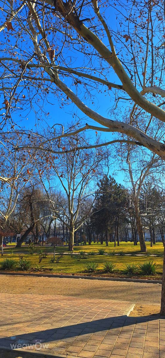 Weather Photos in Bucharest. Weather forecasts with beautiful photos by Iwonne