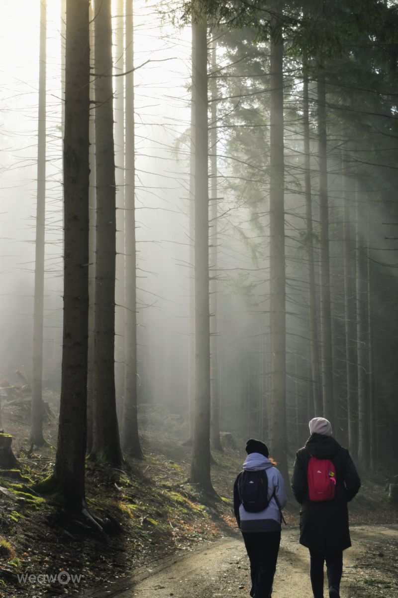 Plzeň Regionの天気写真. hejpetrpepaの美しい写真による天気予報