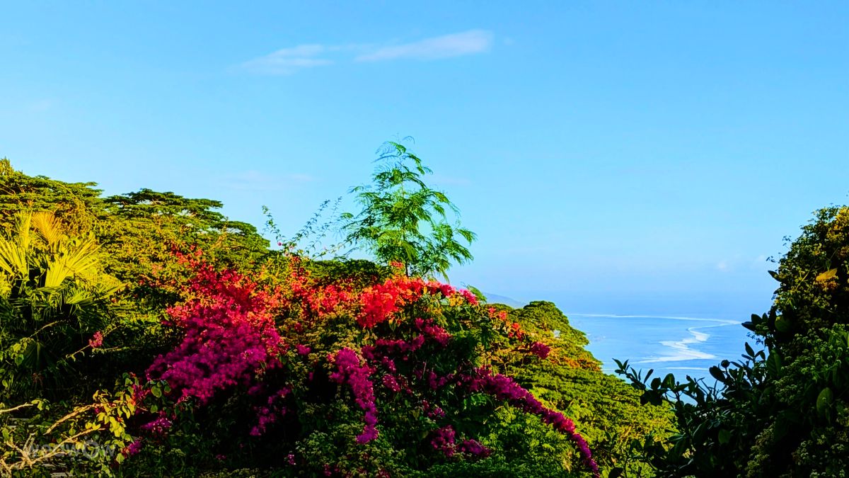 Weather Photos in French Polynesia. Weather forecasts with beautiful photos by Teuira