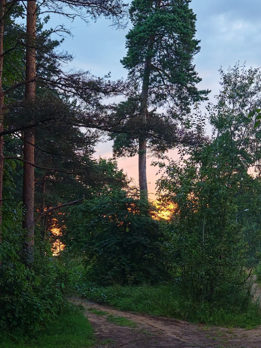 Weather Photos in Pskov Oblast. Weather forecasts with beautiful photos by HelenR2