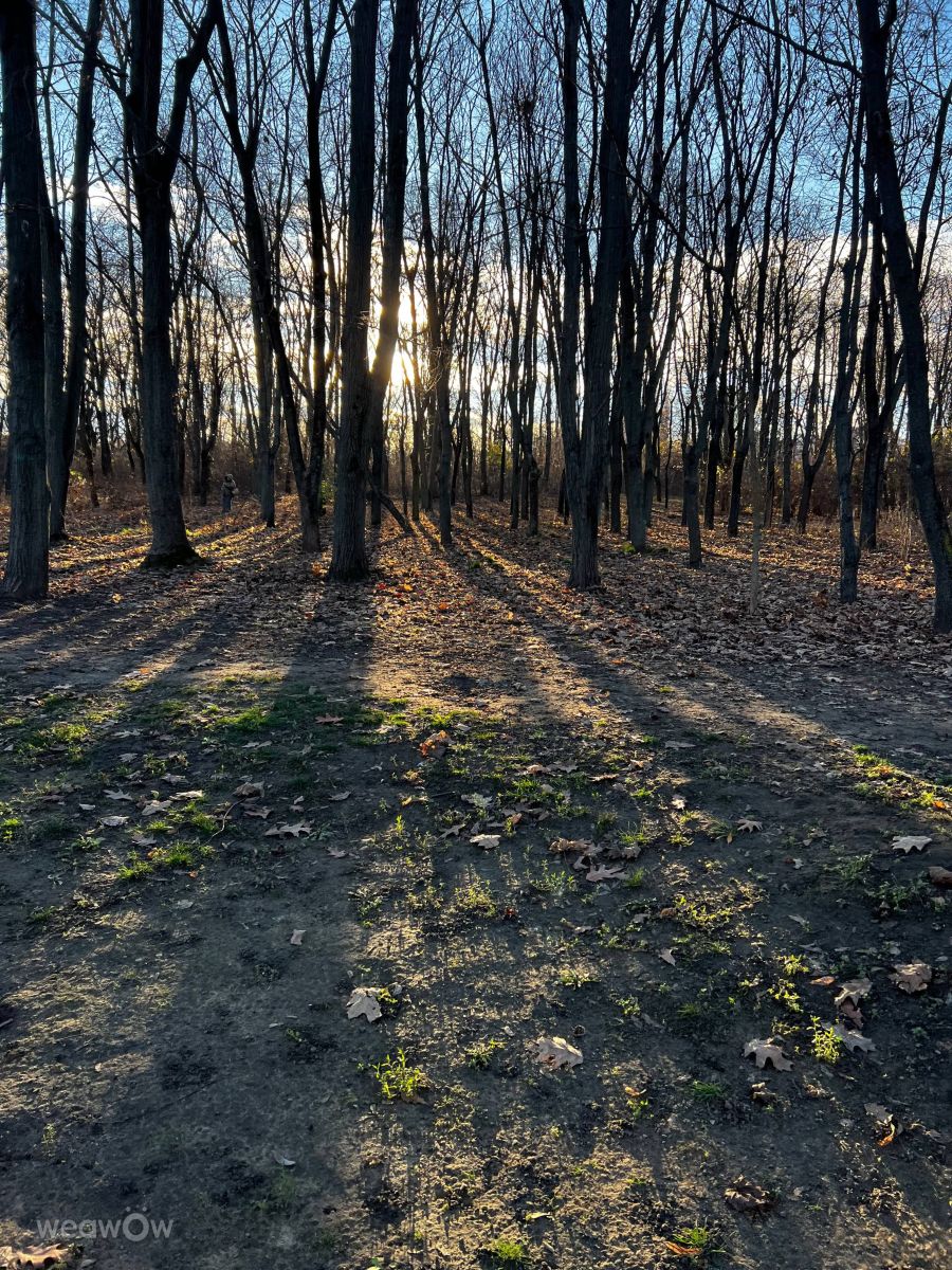 Фотографии Погоды в Кишинёв. Прогнозы погоды с чудесными фотографиями, сделанными InnaMoon
