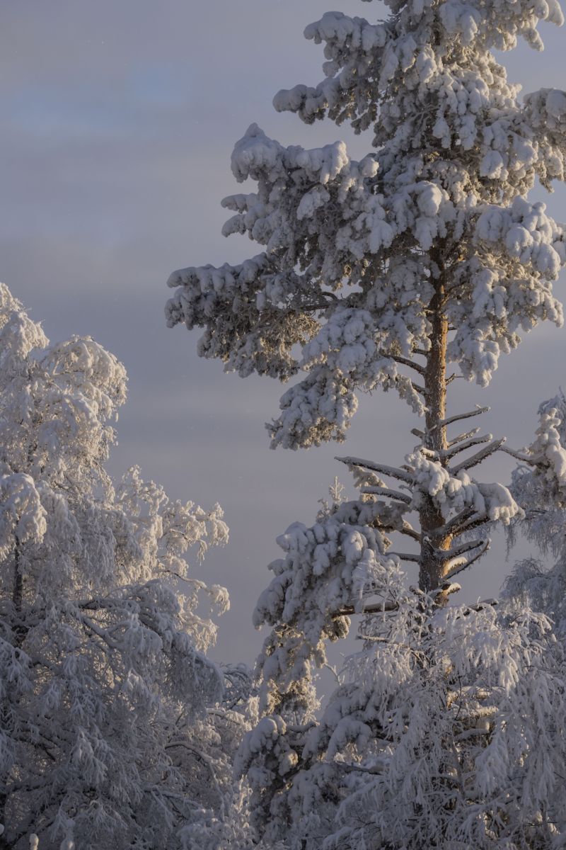 Photos météo à République de Bachkirie. Prévisions météo avec de superbes photos de Nymph542