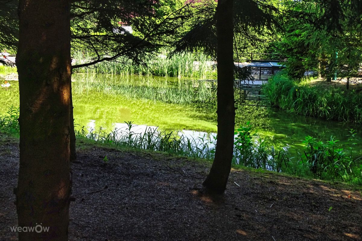 Фотографии Погоды в Зелёнка. Прогнозы погоды с чудесными фотографиями, сделанными VersusPoint