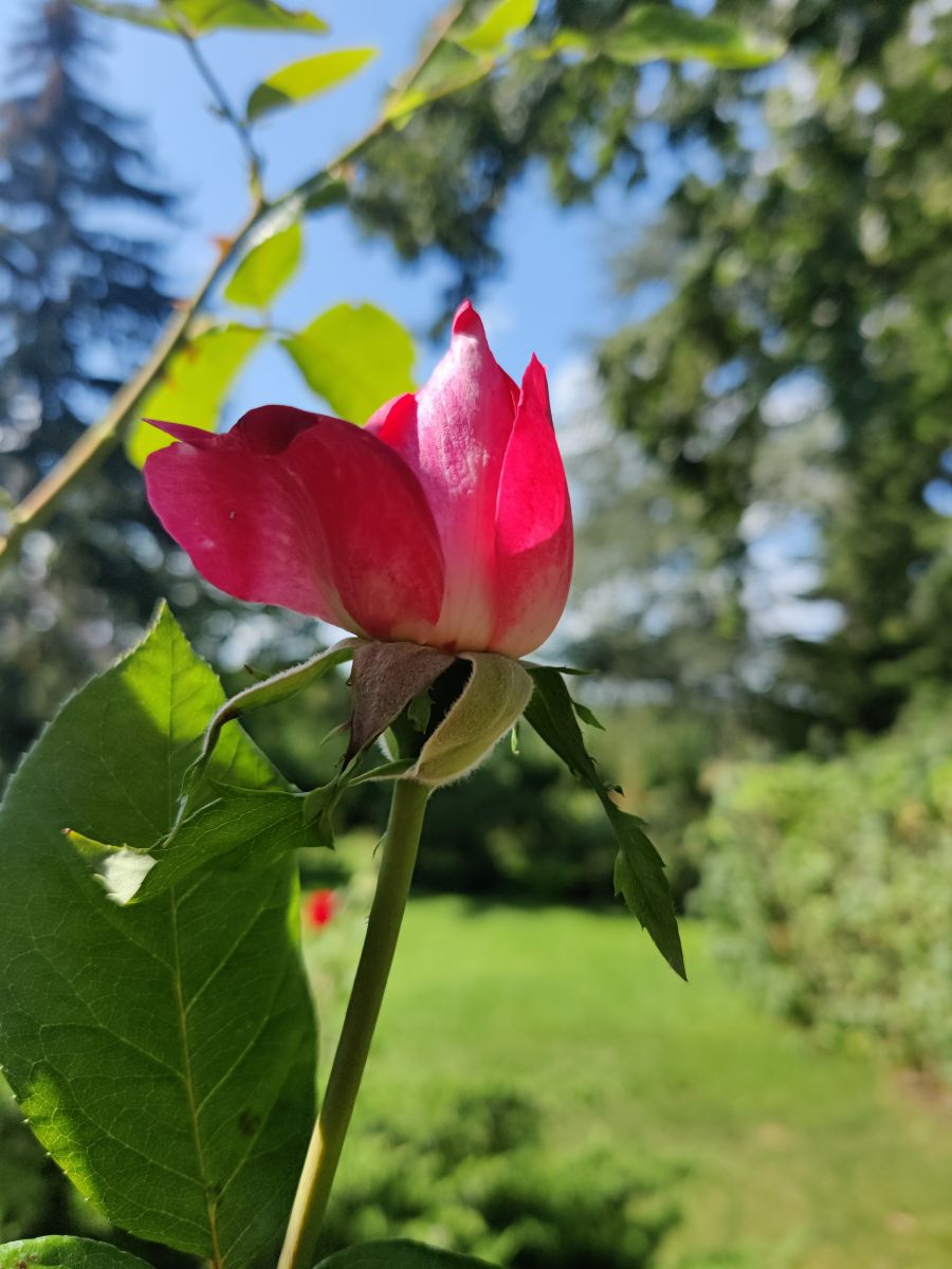 Fotografos Zorrra, Fotos do tempo em Kladow - Weawow