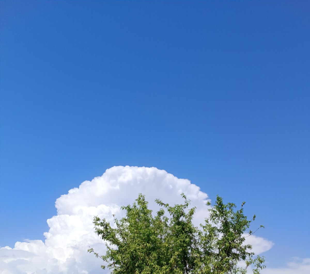 Weather Photos in Jammu and Kashmir. Weather forecasts with beautiful photos by karanexplores