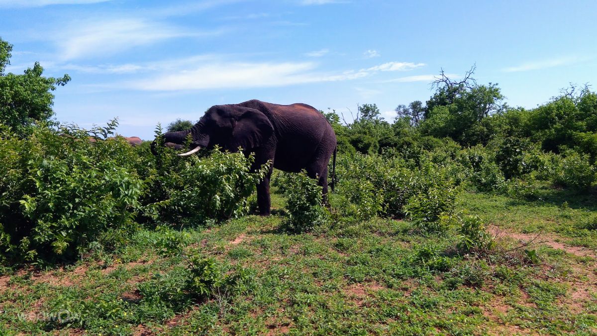 Weather Photos in Botswana. Weather forecasts with beautiful photos by nkemelang