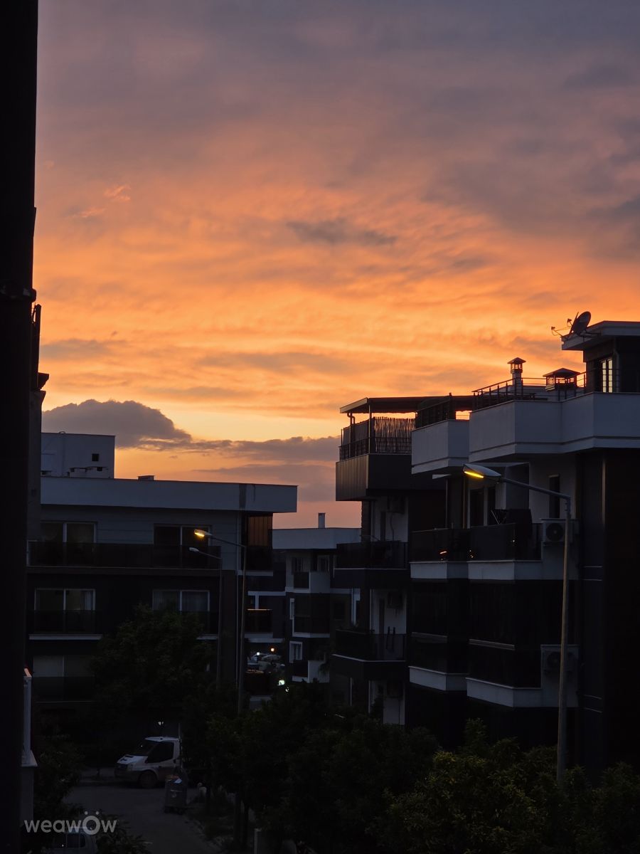 LivSの美しい写真による天気予報