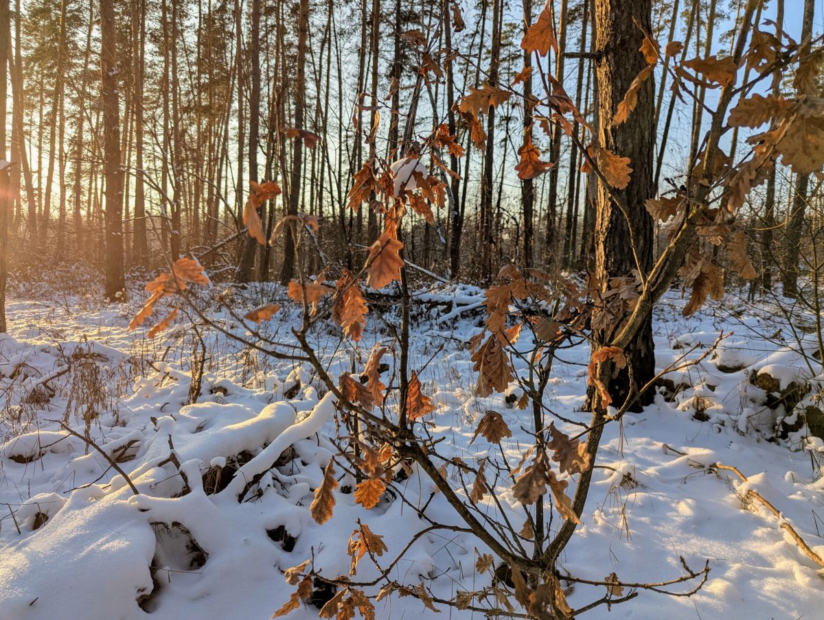 Previsões do tempo com lindas fotos de SergeiZ