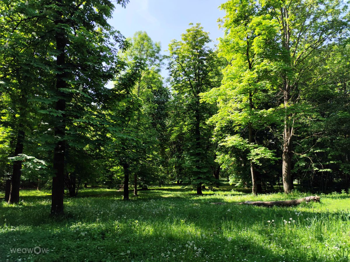 Templomkertの天気写真. sloaraiの美しい写真による天気予報