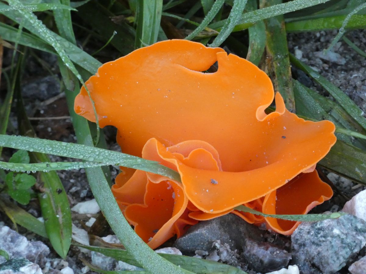 Фотограф fwerner, Фотографии Погоды в Ahlhorner Fischteiche - Weawow