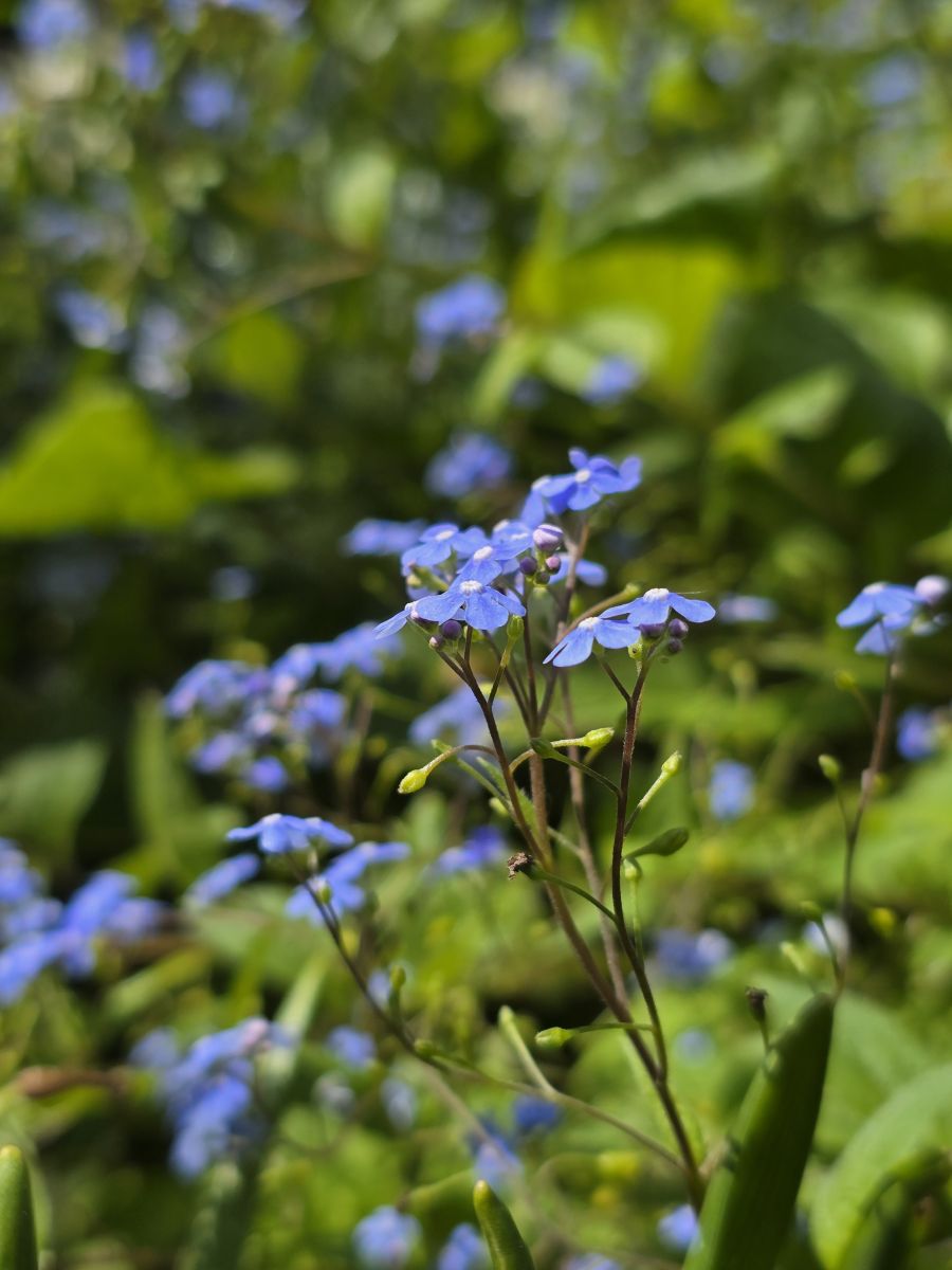 Weather Photos in Vyshneve. Weather forecasts with beautiful photos by Ihor_ua