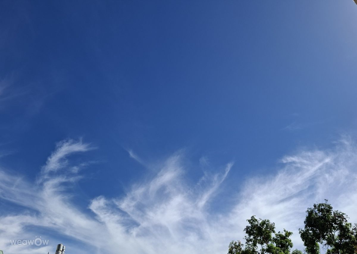 Fotografos Wen-ya Huang, Fotos do tempo em Kaohsiung City - Weawow