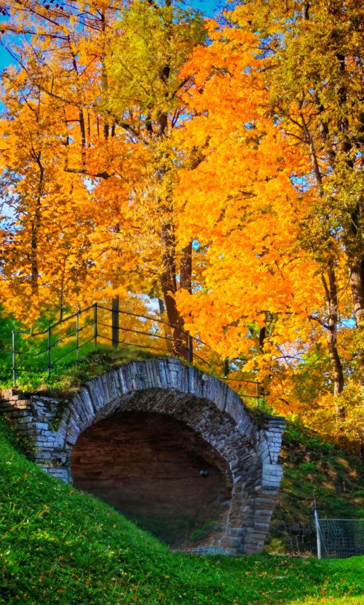 Photos météo à Saint-Pétersbourg. Prévisions météo avec de superbes photos de Elena55