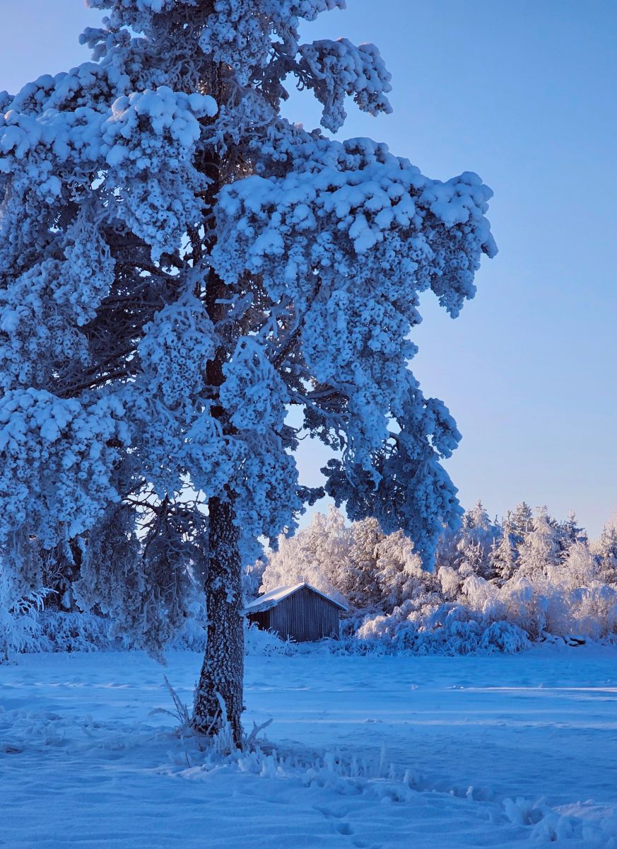 Fotos sobre el clima en Ostrobotnia del Norte. Pronósticos del tiempo con hermosas fotos de Piia