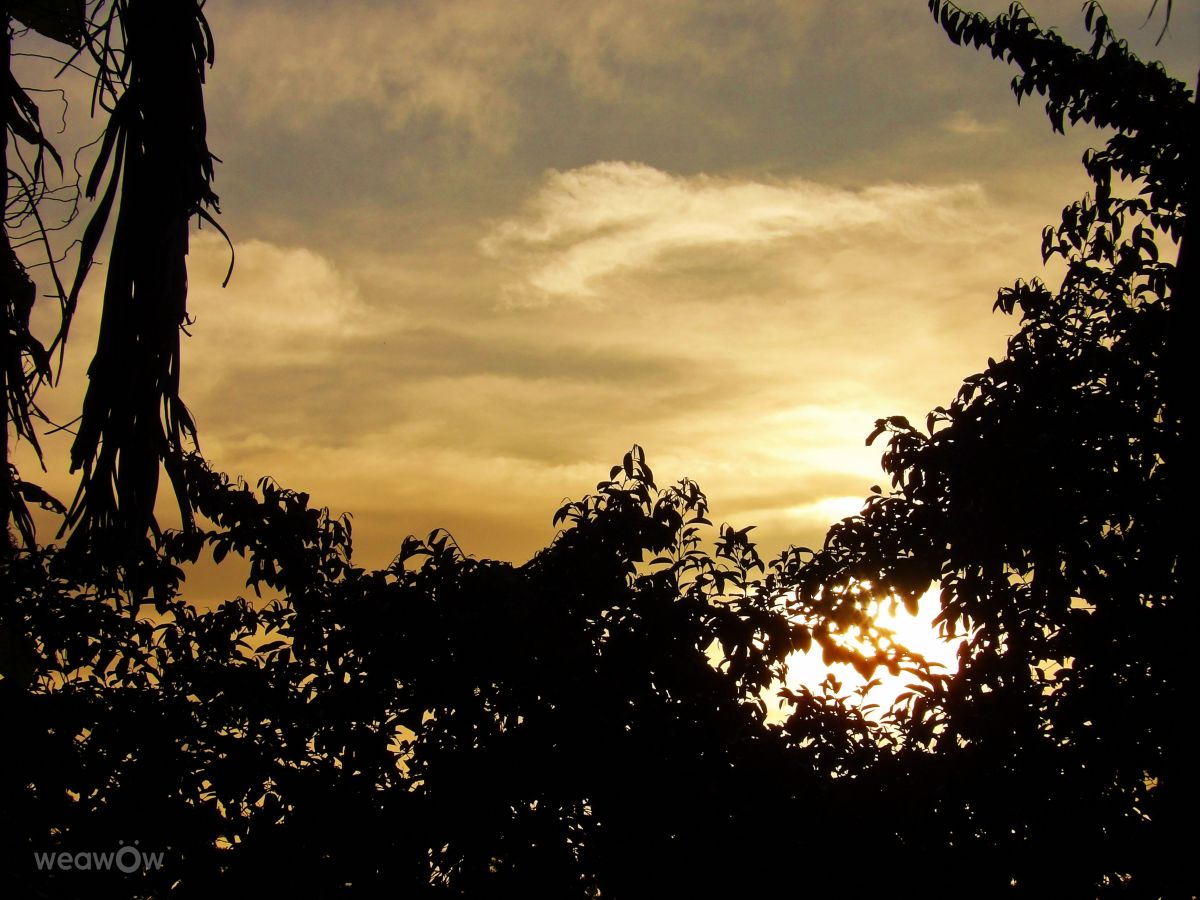 Weather forecasts with beautiful photos by lcruz23