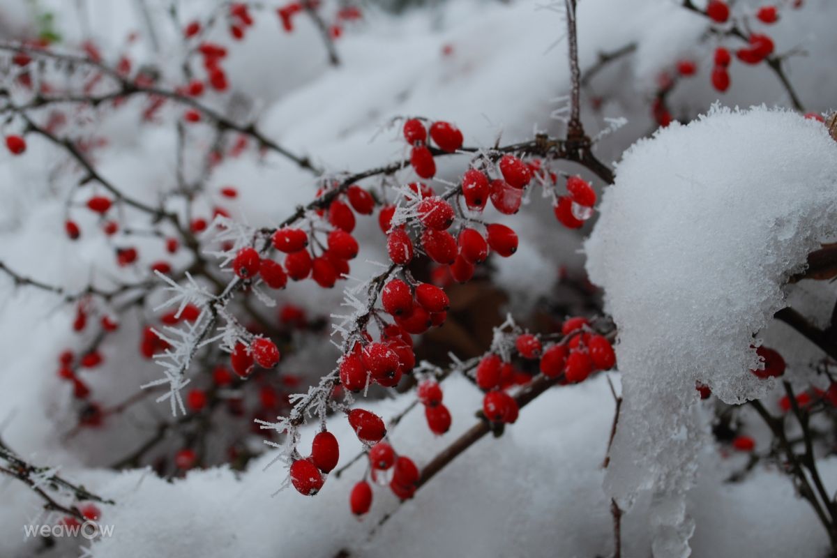 Hình ảnh Thời tiết ở Slovakia. Dự báo thời tiết với những bức ảnh đẹp của Marcela Cervenakova