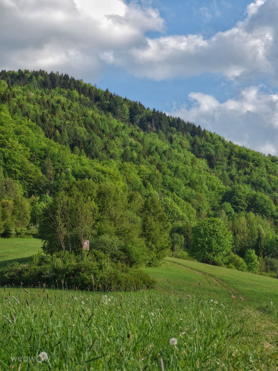 Weather Photos in Slovakia. Weather forecasts with beautiful photos by _richardd