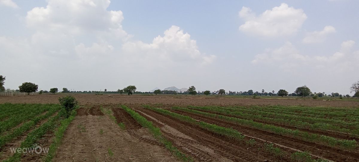 Weather Photos in India. Weather forecasts with beautiful photos by Imadabattini Bosu Babu