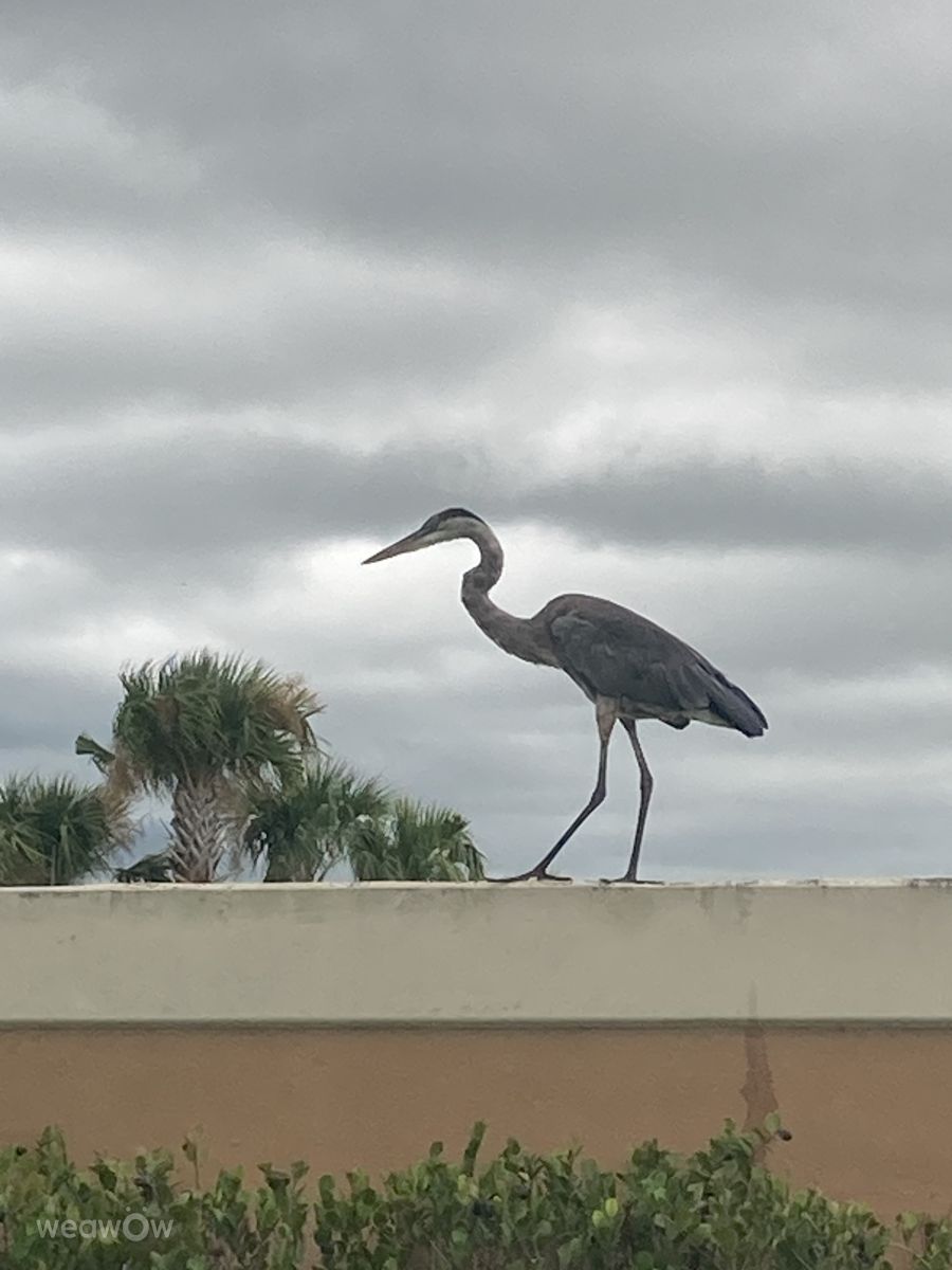 Weather Photos in Port Saint Lucie. Weather forecasts with beautiful photos by FaeryInFlorida