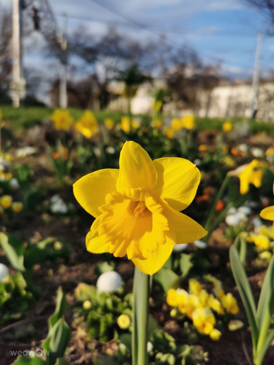 Fotos sobre el clima en Debrecen. Pronósticos del tiempo con hermosas fotos de AttilaSzilvássy