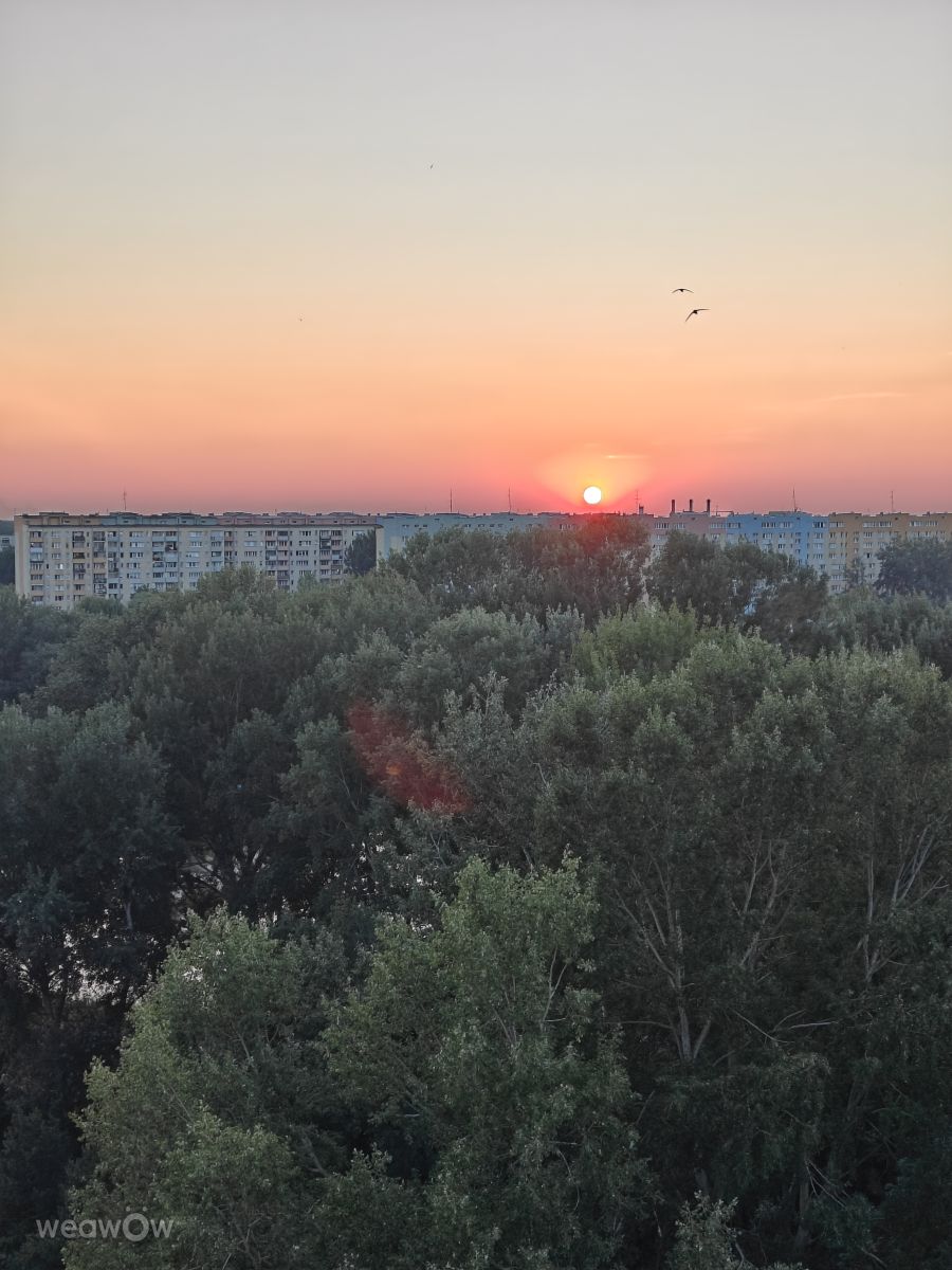 Weather Photos in Mazovia. Weather forecasts with beautiful photos by Olga Sikorsky