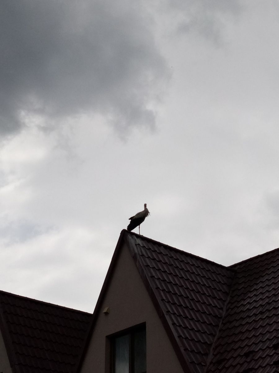Weather Photos in Ivano-Frankivsk. Weather forecasts with beautiful photos by Vel